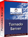 Tornado Server